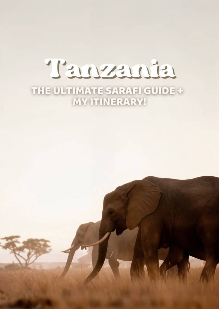 Ultimate Guide For Tanzania